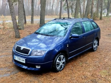 Авто Skoda Fabia 2002 № 7124774