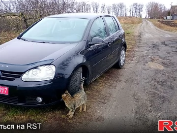 Авто Volkswagen Golf 2006 № 7206868