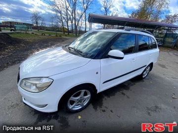Авто Skoda Fabia 2010 № 7360295