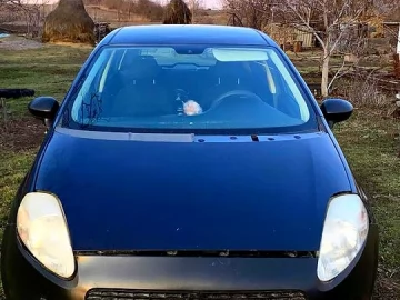 Авто Fiat Punto 2009 № 7456161