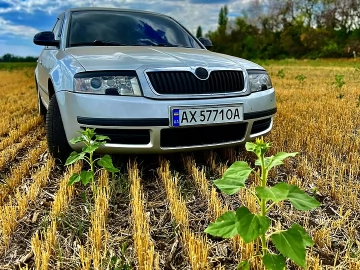 Авто Skoda Superb 2007 № 7550257