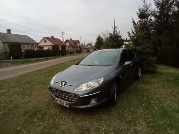 Авто Peugeot 407 2005 № 7166958