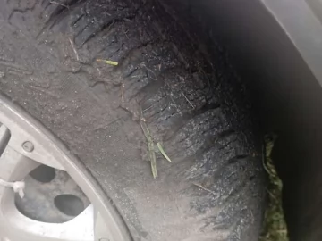 Авто Daewoo Sens 2004 № 7257940