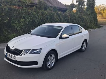 Авто Skoda Octavia 2019 № 7270555