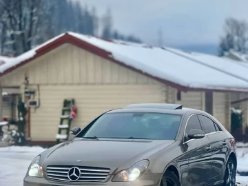 Авто Mercedes Cls-Class 2008 № 7294951