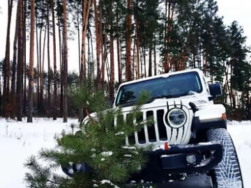 Авто Jeep Wrangler 2018 № 7300520