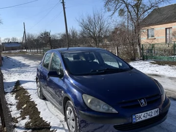 Авто Peugeot 307 2003 № 7316928