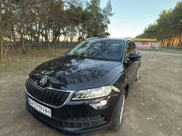 Авто Skoda Karoq 2019 № 7319030