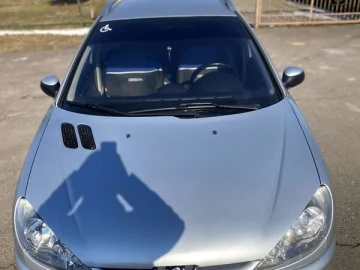 Авто Peugeot 206 Plus 2004 № 7319355