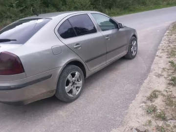 Авто Skoda Octavia 2007 № 7321905