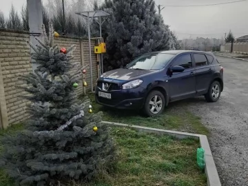 Авто Nissan Qashqai 2010 № 7325022
