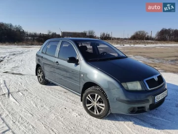 Авто Skoda Fabia 2007 № 7328175