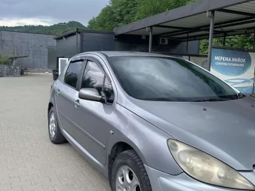 Авто Peugeot 307 2003 № 7336258