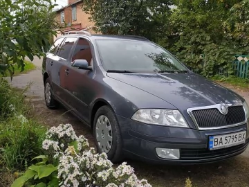 Авто Skoda Octavia 2007 № 7351185