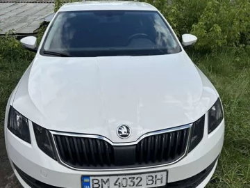 Авто Skoda Octavia 2017 № 7369546