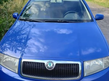Авто Skoda Fabia 2002 № 7380146