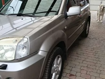 Авто Nissan X-Trail 2004 № 7380679