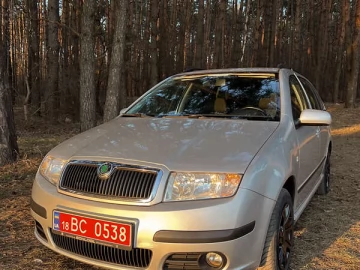 Авто Skoda Fabia 2007 № 7394707