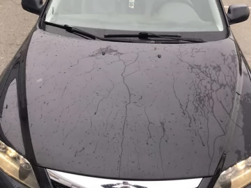 Авто Mazda 6 2006 № 7420370