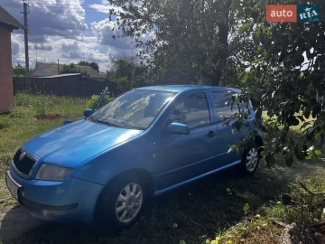 Авто Skoda Fabia 2000 № 7423698