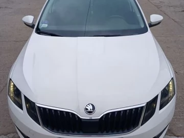 Авто Skoda Octavia 2019 № 7432343