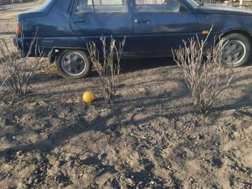 Авто ЗАЗ 1103 Славута 2006 № 7485023