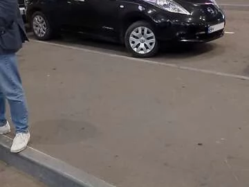 Авто Nissan Leaf 2014 № 7498453