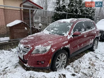 Авто Volkswagen Tiguan 2009 № 7500303
