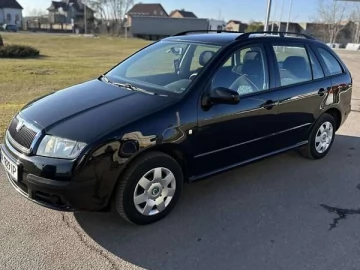 Авто Skoda Fabia 2007 № 7502189