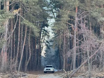 Авто Infiniti Qx70 2016 № 7508429