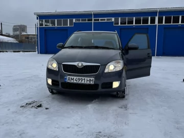 Авто Skoda Fabia 2009 № 7509745