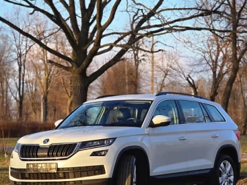 Авто Skoda Kodiaq 2019 № 7516558