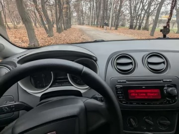 Авто SEAT Ibiza 2010 № 7526837