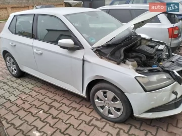 Авто Skoda Fabia 2019 № 7529173