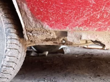 Авто Renault Kangoo 1999 № 7529380