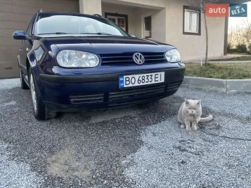 Авто Volkswagen Golf 2001 № 7532372