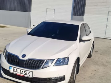 Авто Skoda Octavia 2019 № 7542661