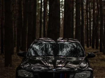 Авто BMW 3 Series 2007 № 7555294