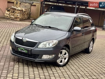 Авто Skoda Fabia 2010 № 7565738