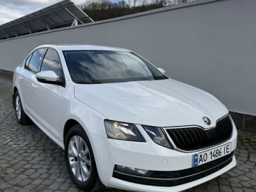 Авто Skoda Octavia 2019 № 7579561