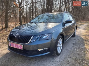 Авто Skoda Octavia 2019 № 7584172