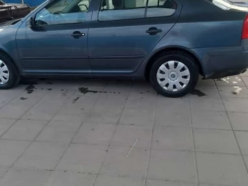 Авто Skoda Octavia 2007 № 7586491