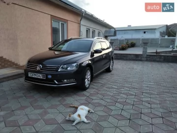 Авто Volkswagen Passat 2012 № 7589119