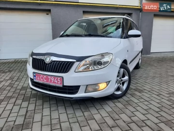 Авто Skoda Fabia 2010 № 7600039