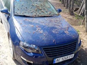 Авто Volkswagen Passat 2007 № 7617195