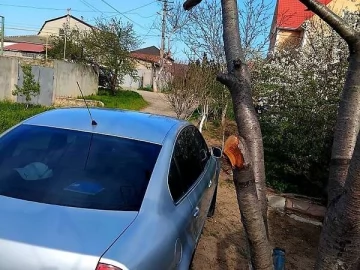 Авто Volkswagen Passat 2002 № 7632258