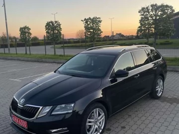 Авто Skoda Octavia 2019 № 7637401