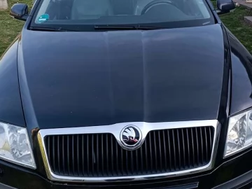 Авто Skoda Octavia 2007 № 7645104