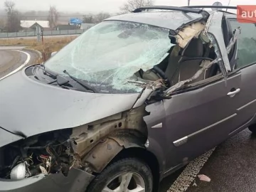 Авто Renault Scenic 2005 № 7649343