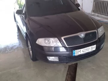 Авто Skoda Octavia 2008 № 7654275
